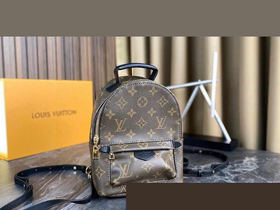 LV Bag 083