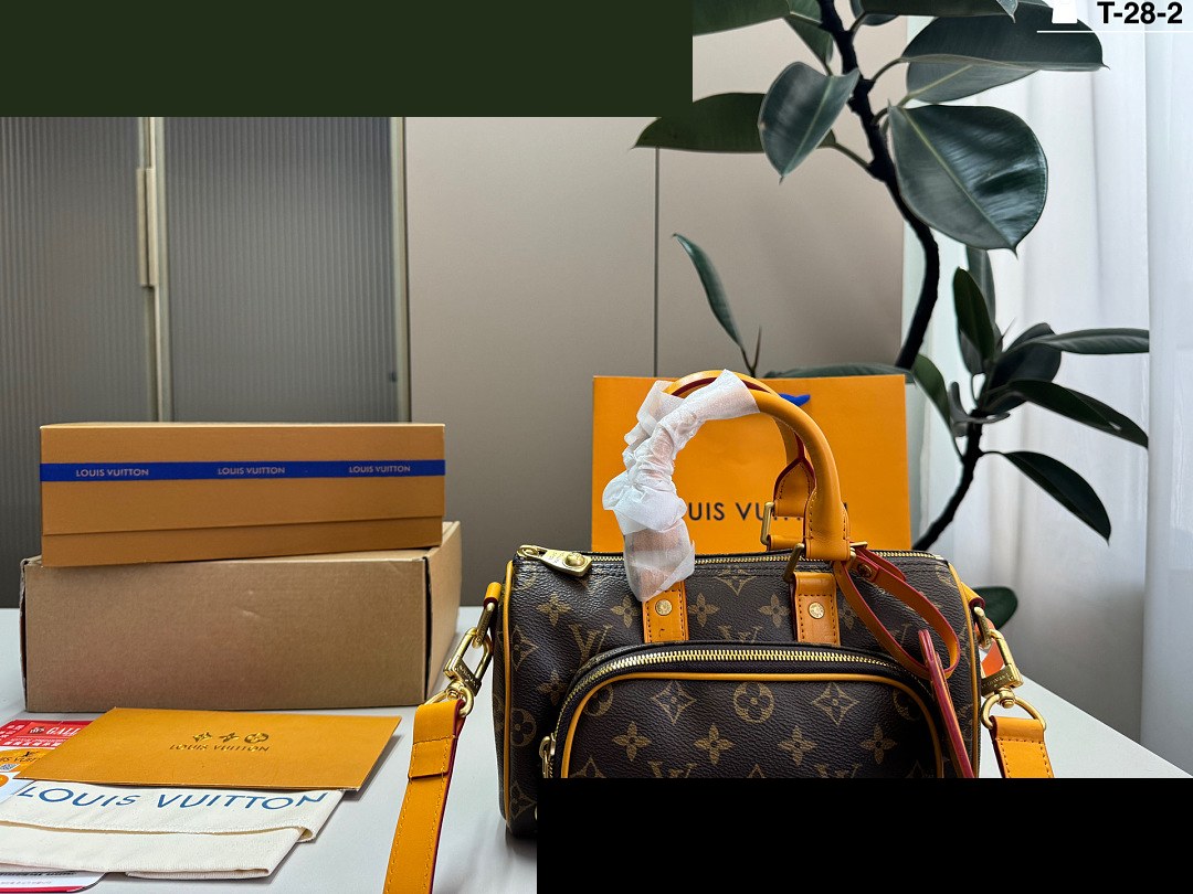 LV Bag 087