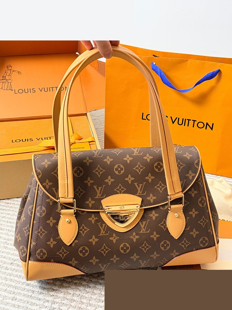 LV Bag 095