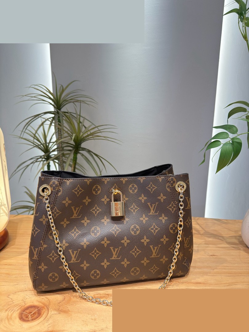 LV Bag 102