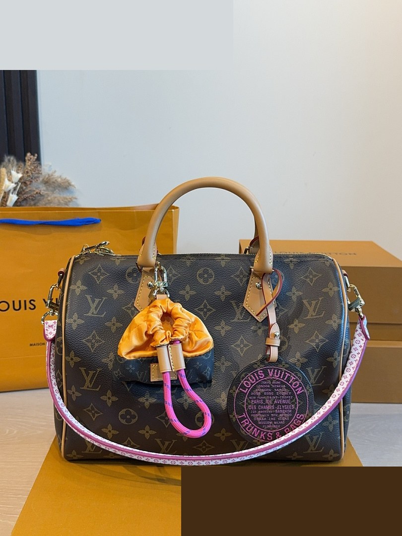 LV Bag 110