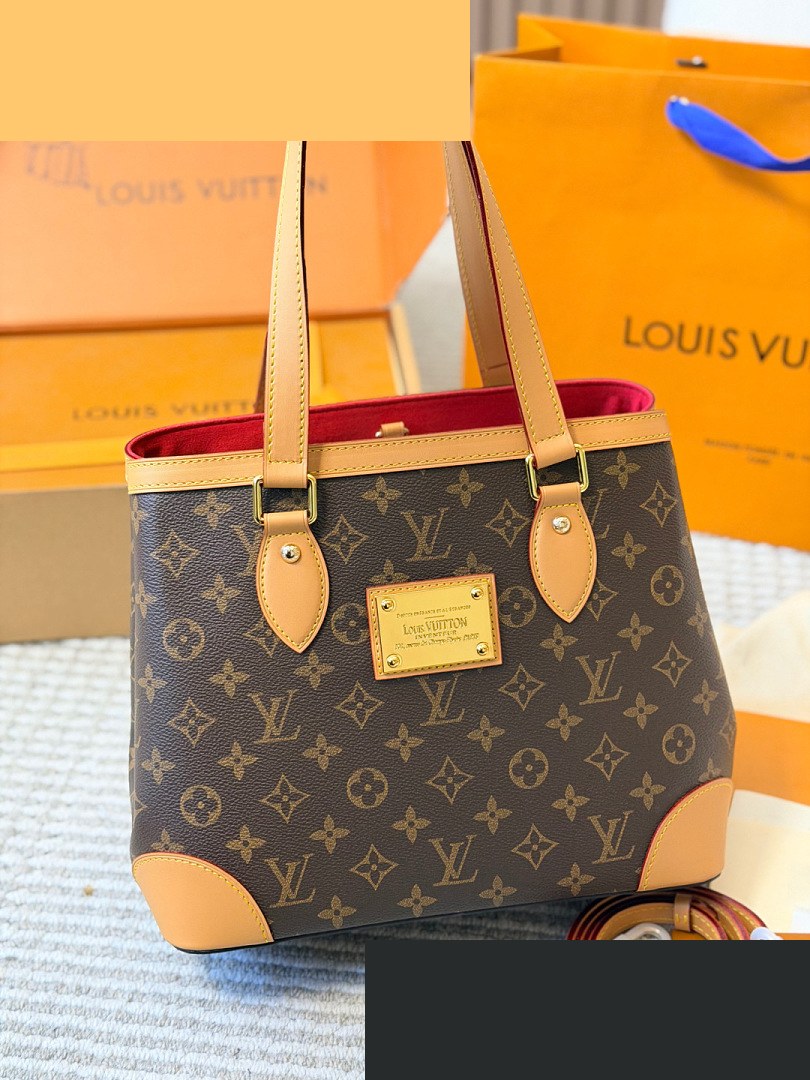 LV Bag 147
