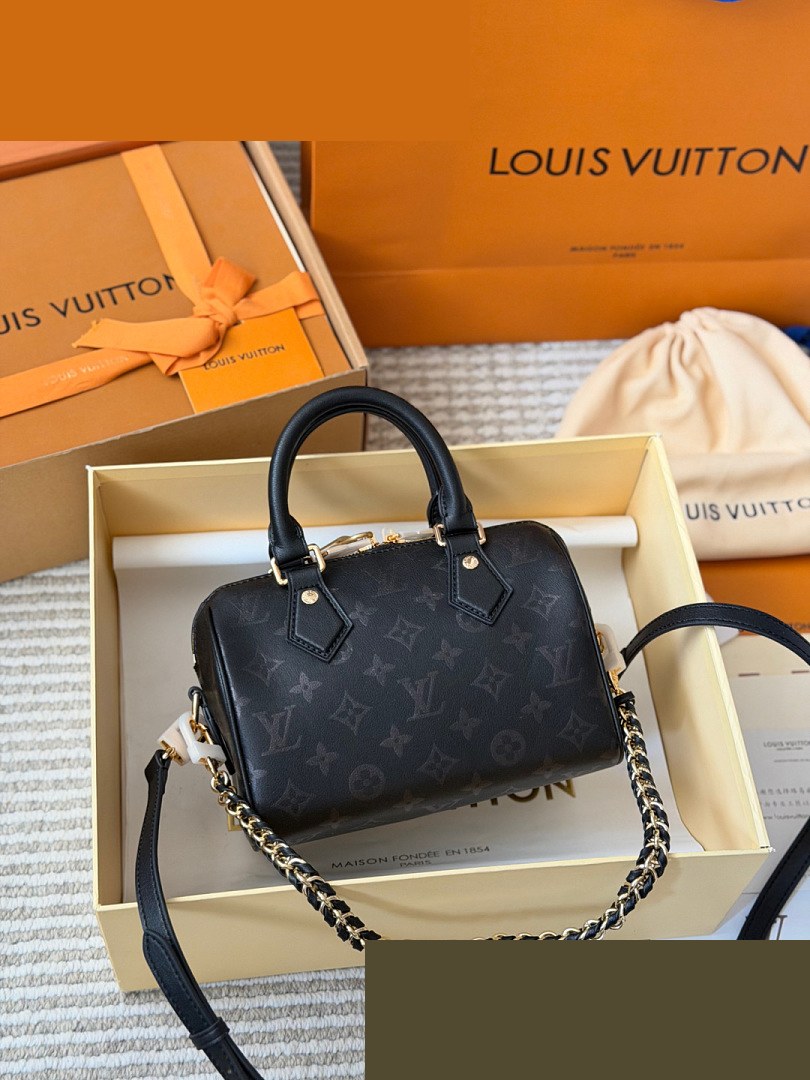 LV Bag 156