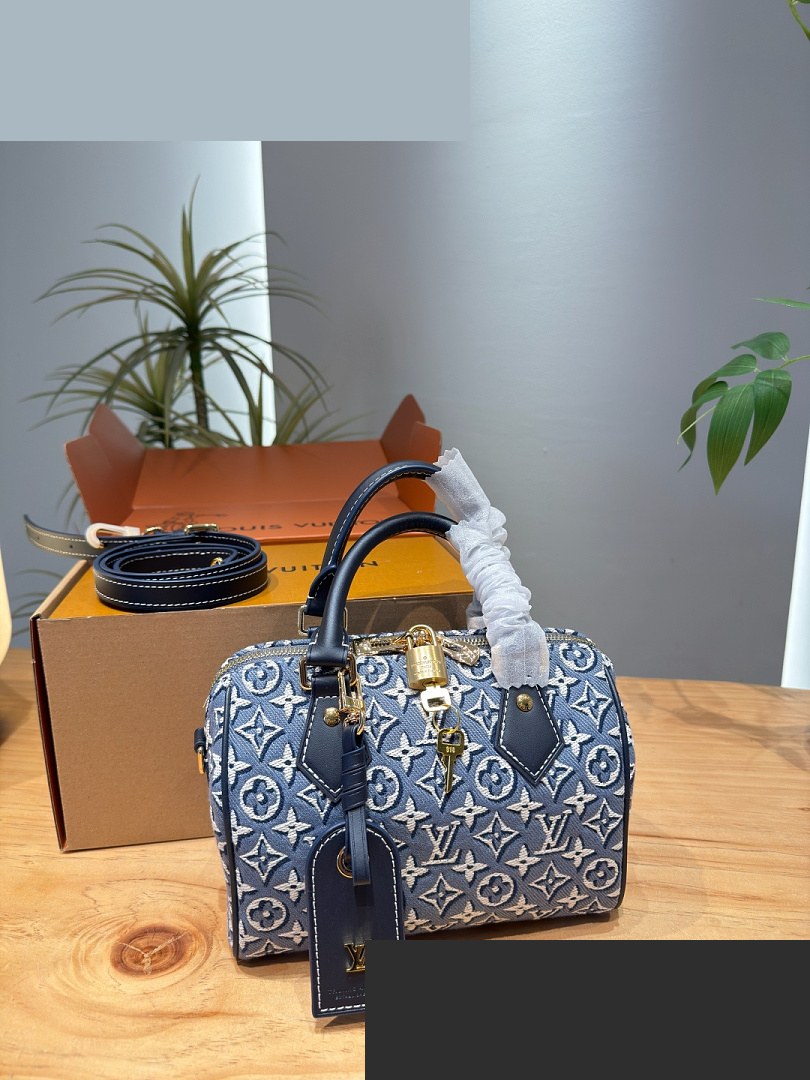 LV Bag 165