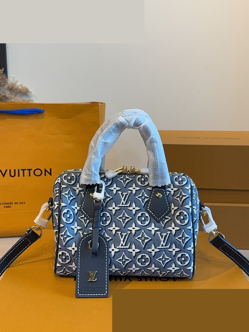 LV Bag 170