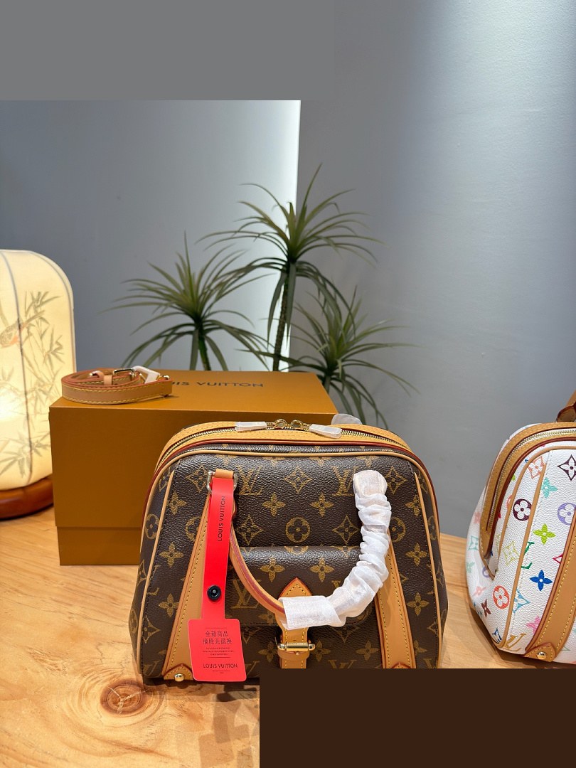 LV Bag 174