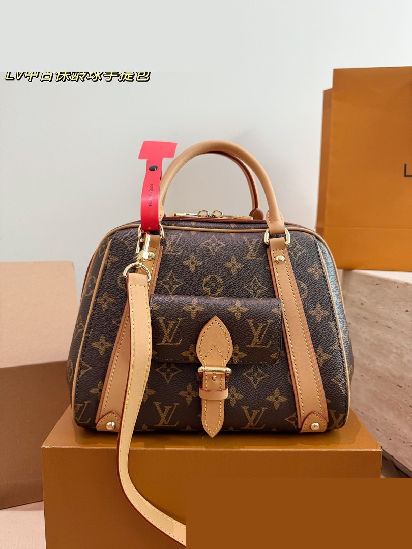 LV Bag 176