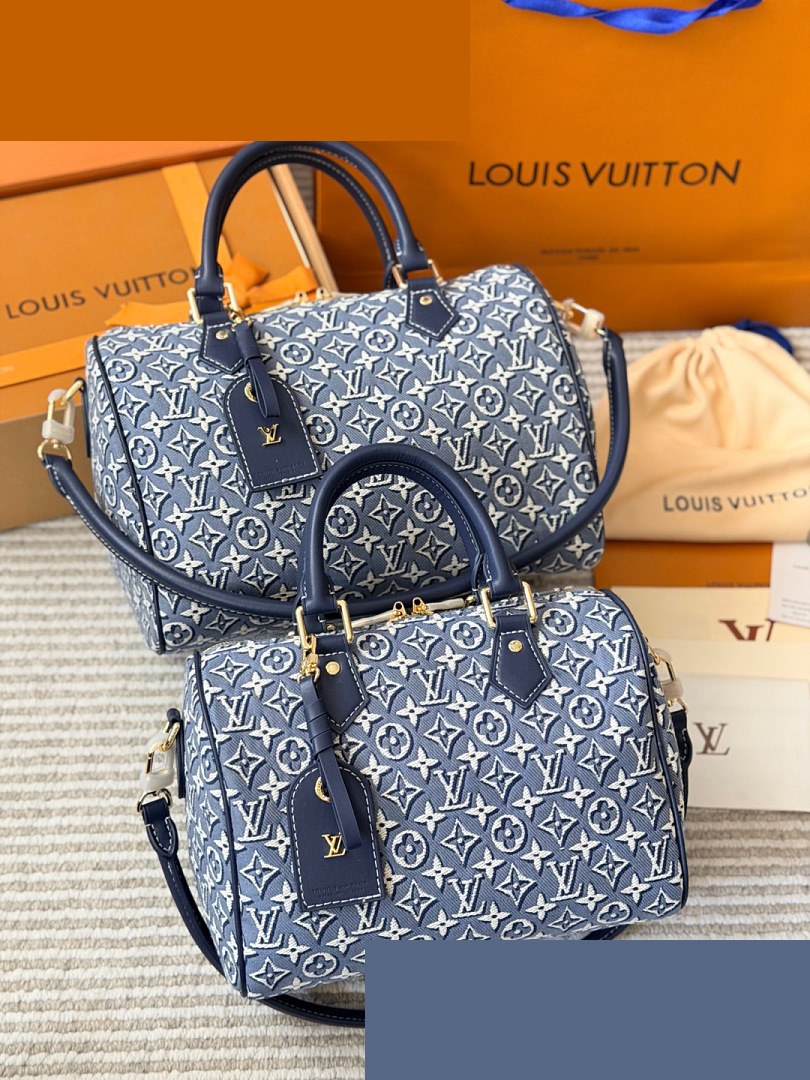 LV Bag 186