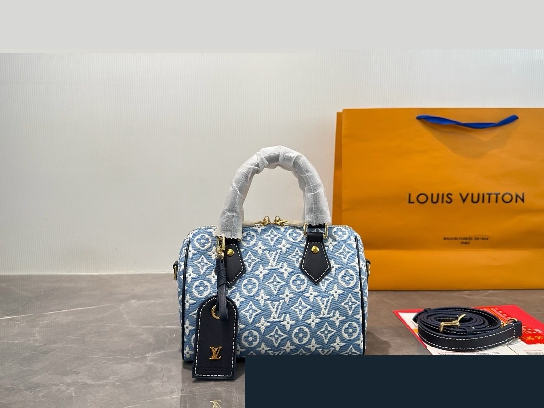 LV Bag 190