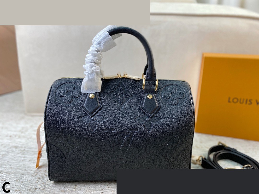 LV Bag 193