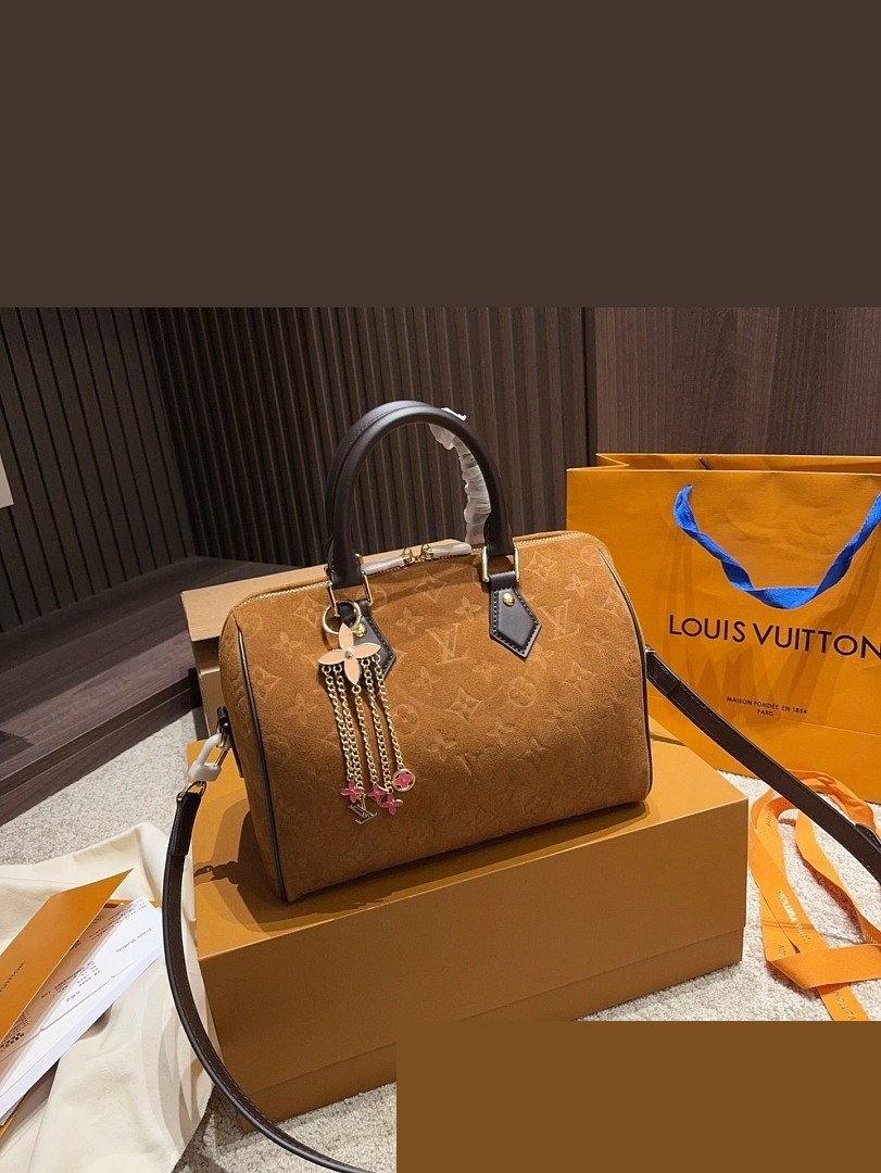 LV Bag 194