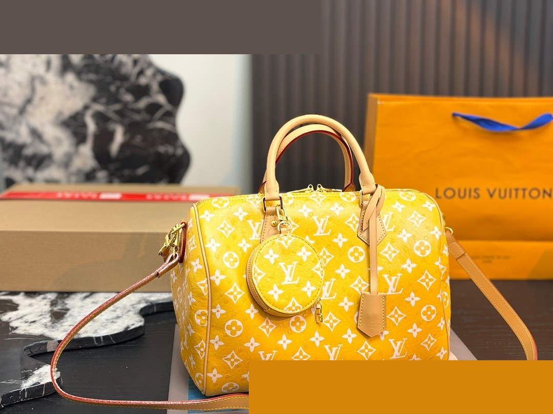 LV Bag 195