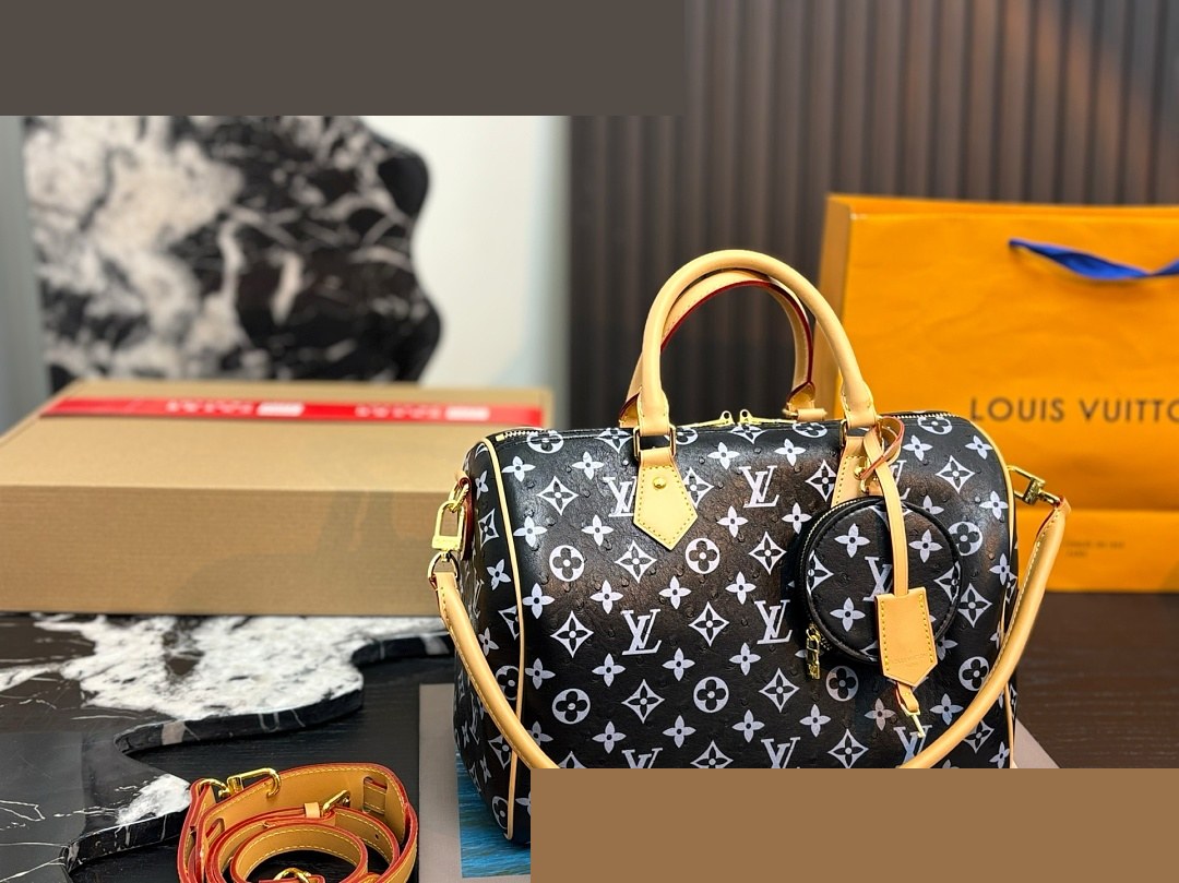 LV Bag 196