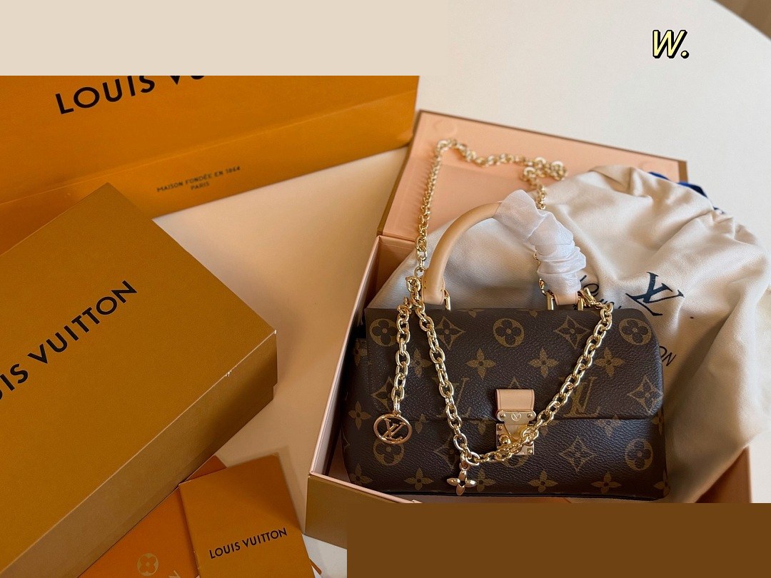 LV Bag 197