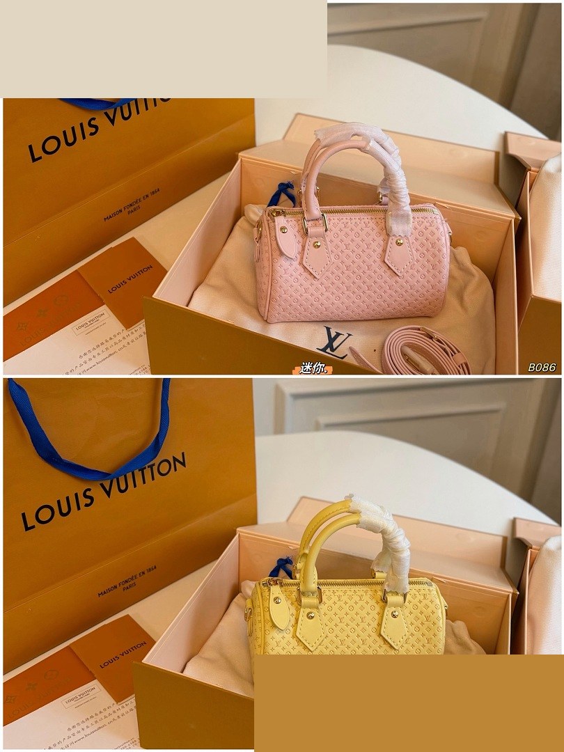 LV Bag 198