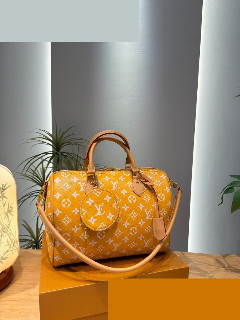 LV Bag 204