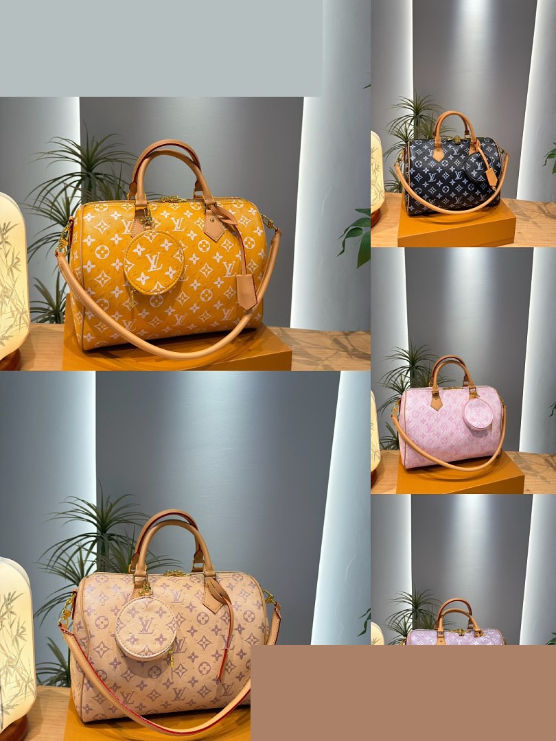 LV Bag 205