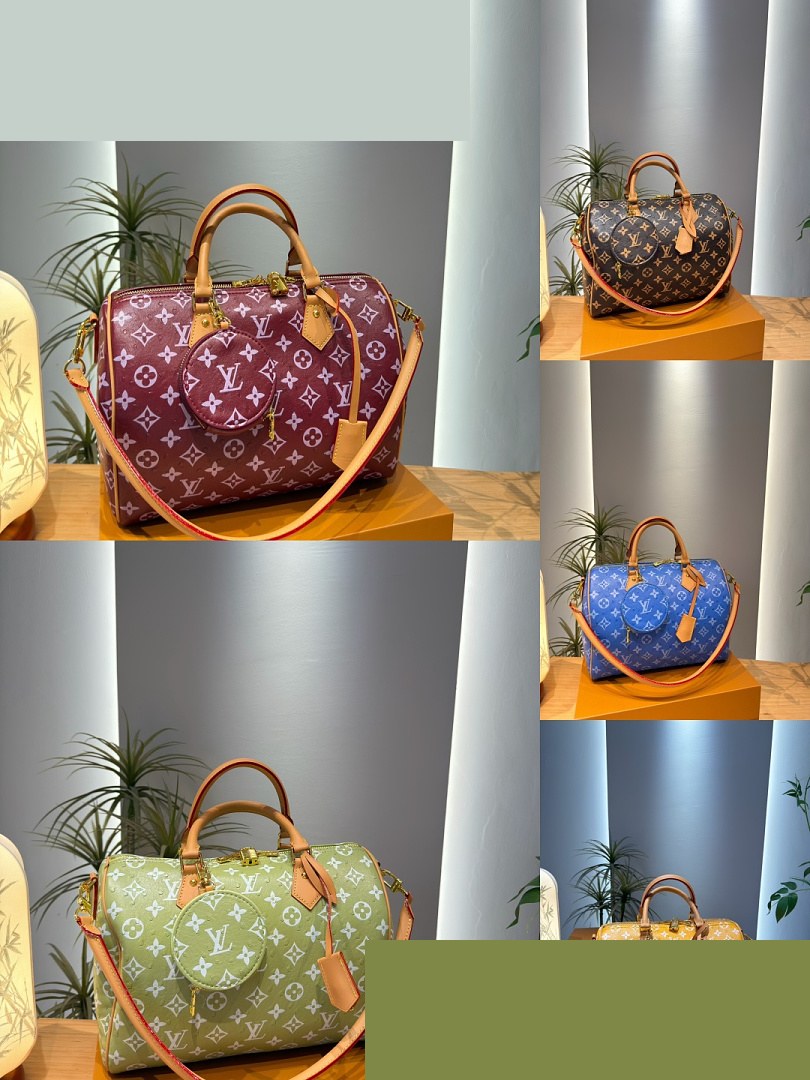 LV Bag 206