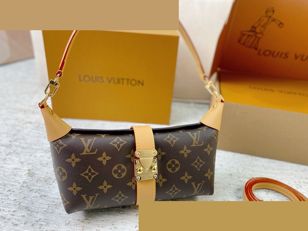 LV Bag 210