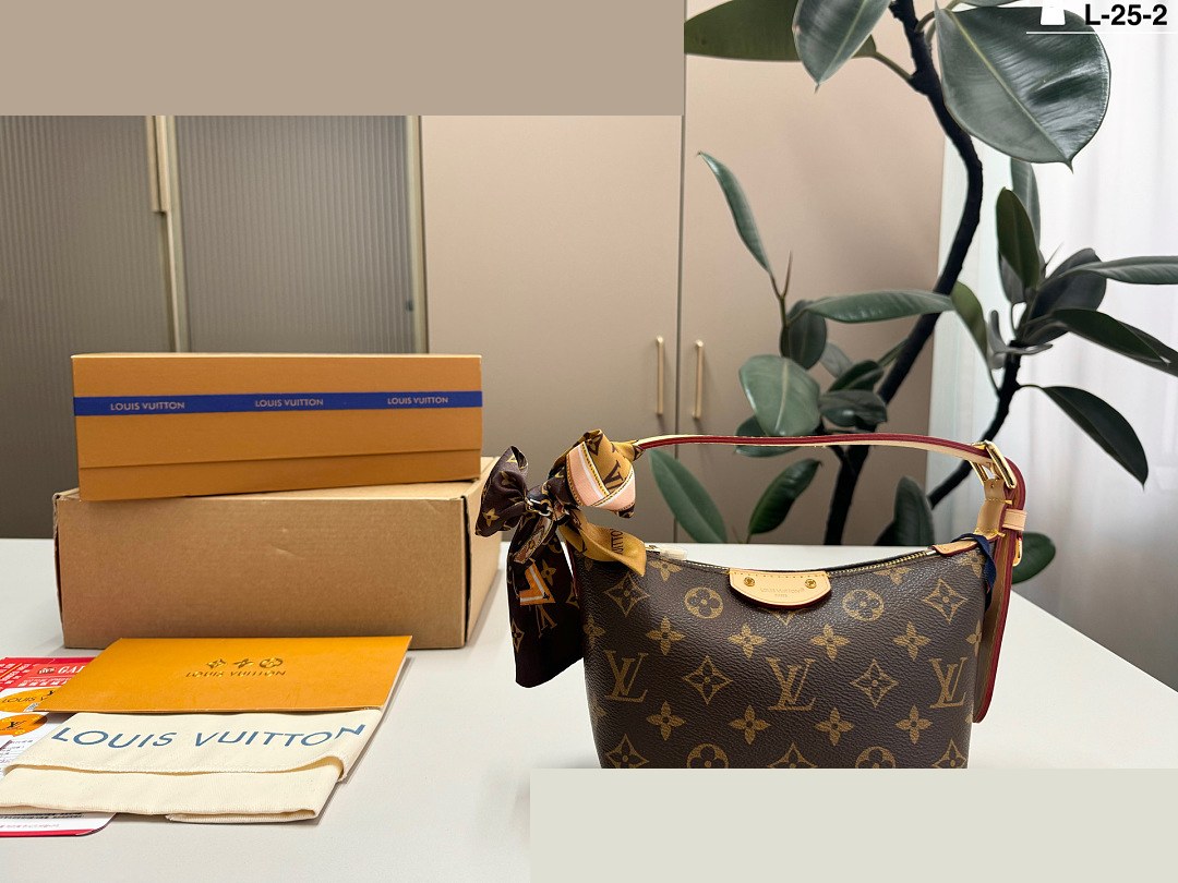 LV Bag 216