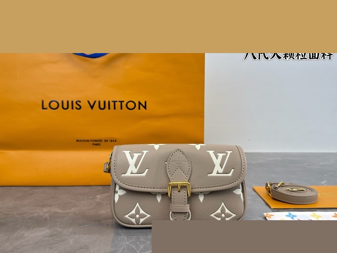 LV Bag 223