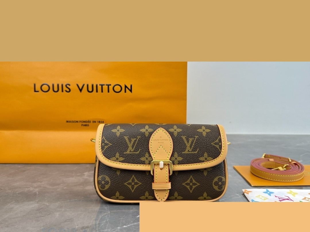LV Bag 224