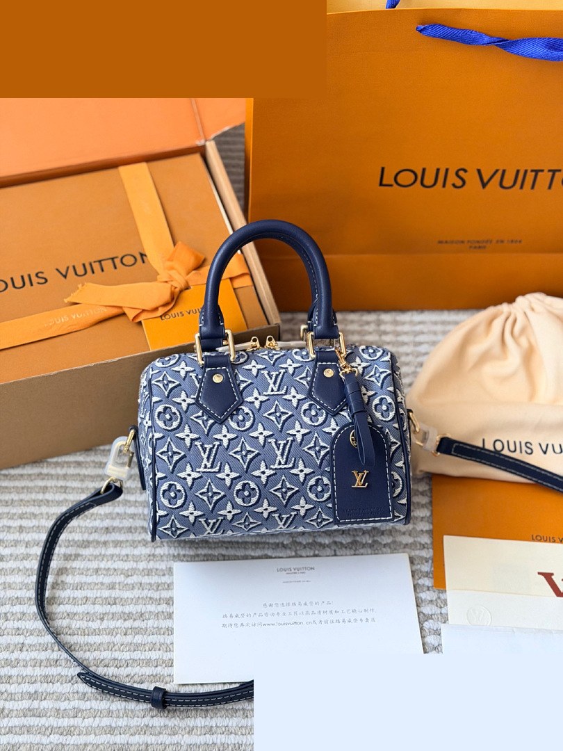 LV Bag 227