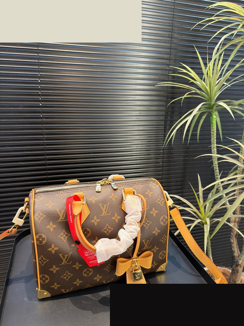 LV Bag 228