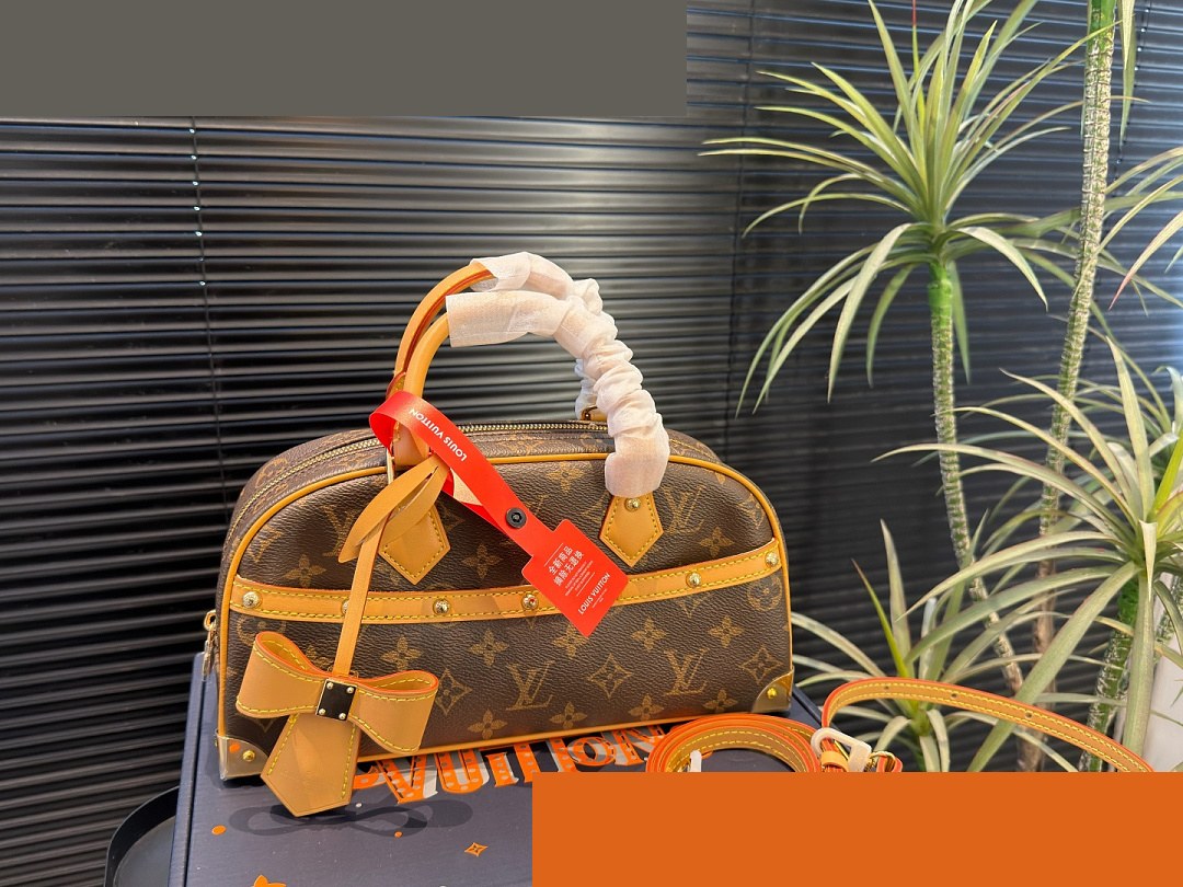 LV Bag 229