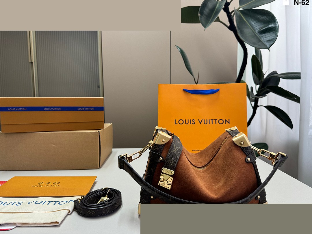 LV Bag 231