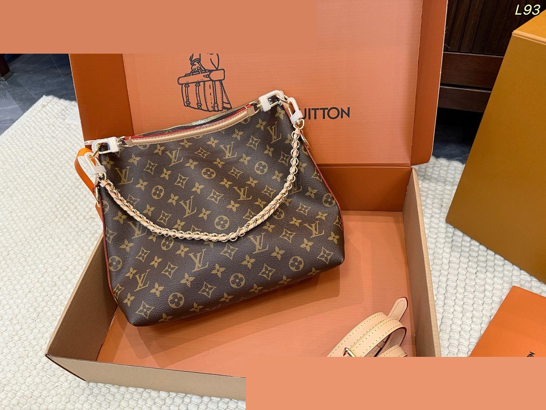 LV Bag 234