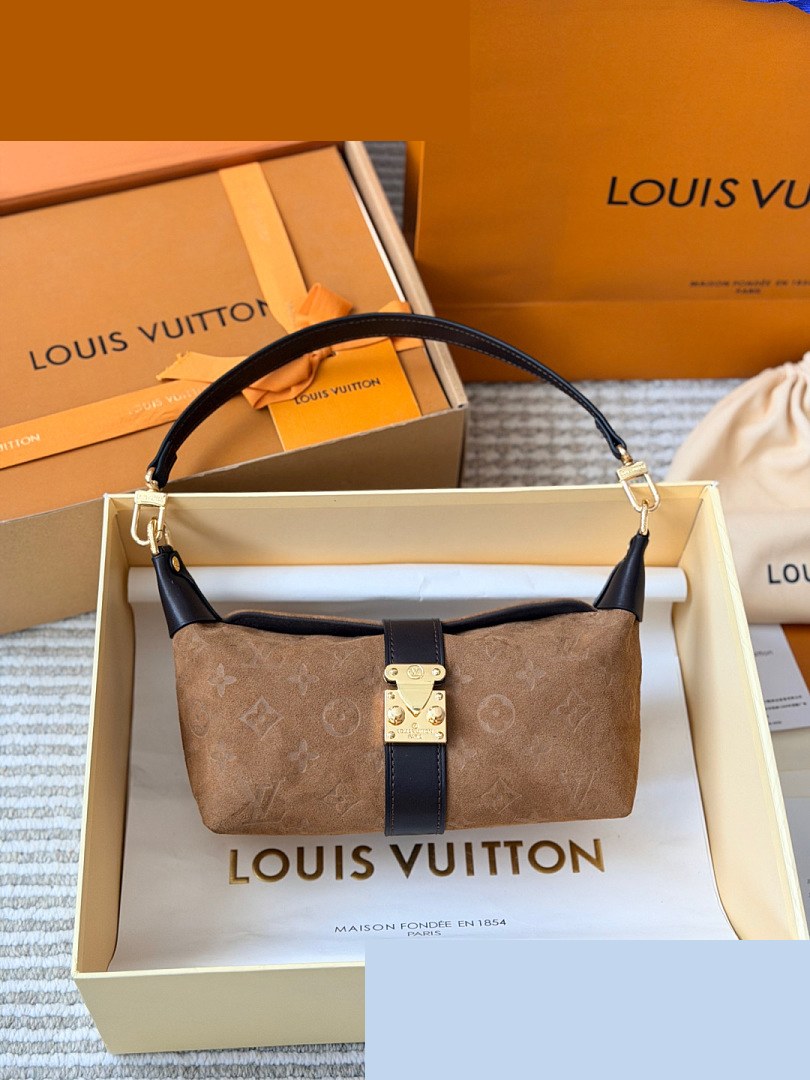 LV Bag 236