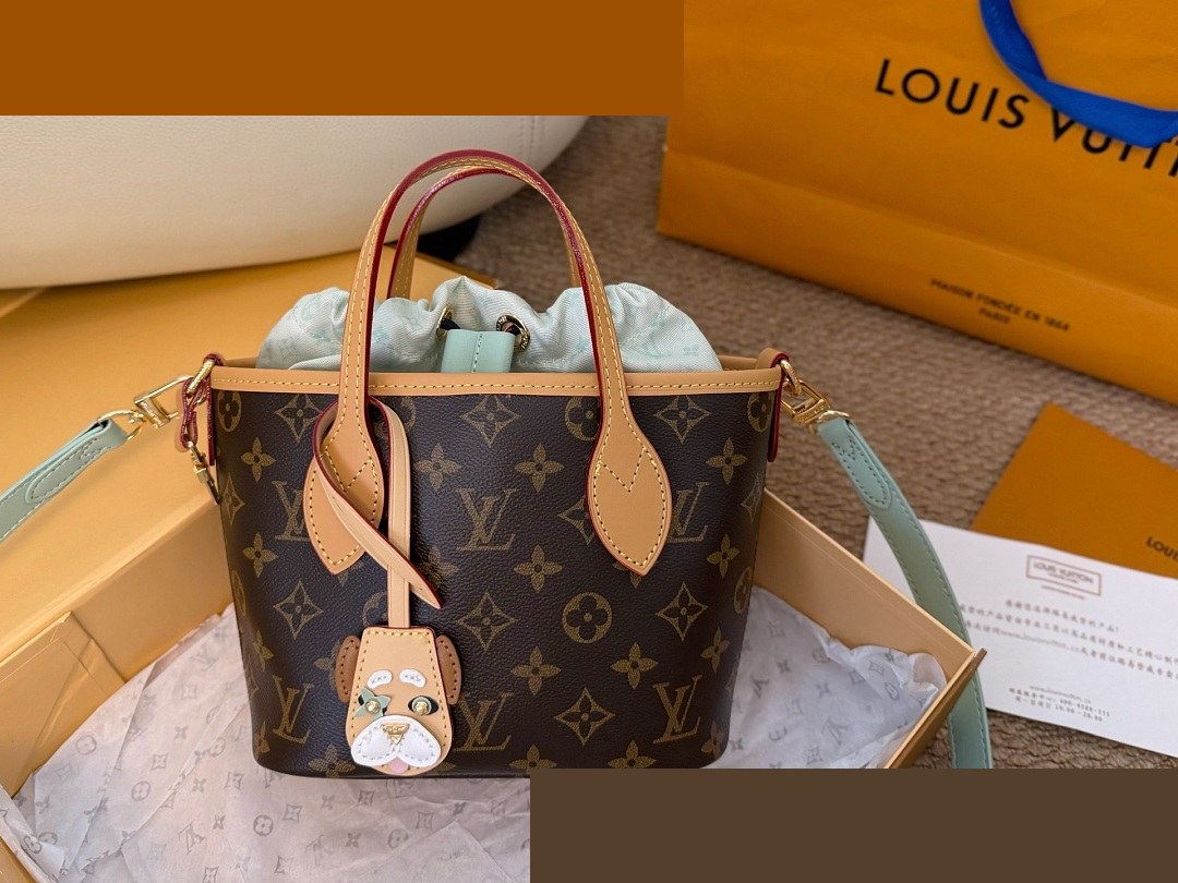 LV Bag 237