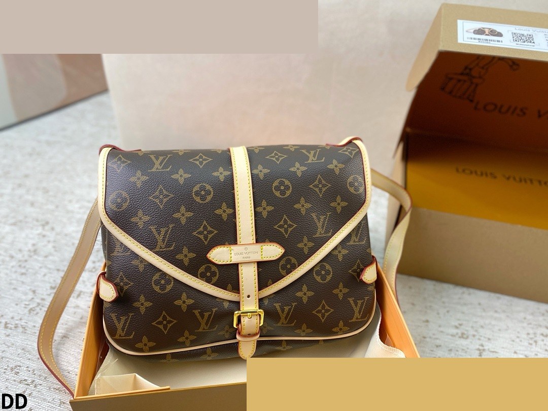 LV Bag 240