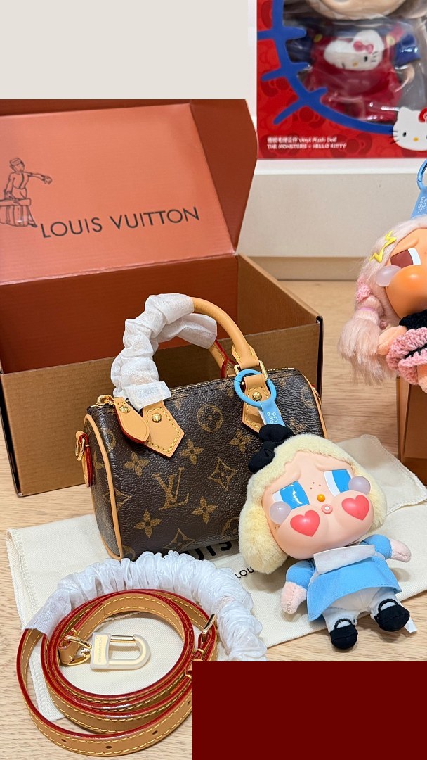 LV Bag 241
