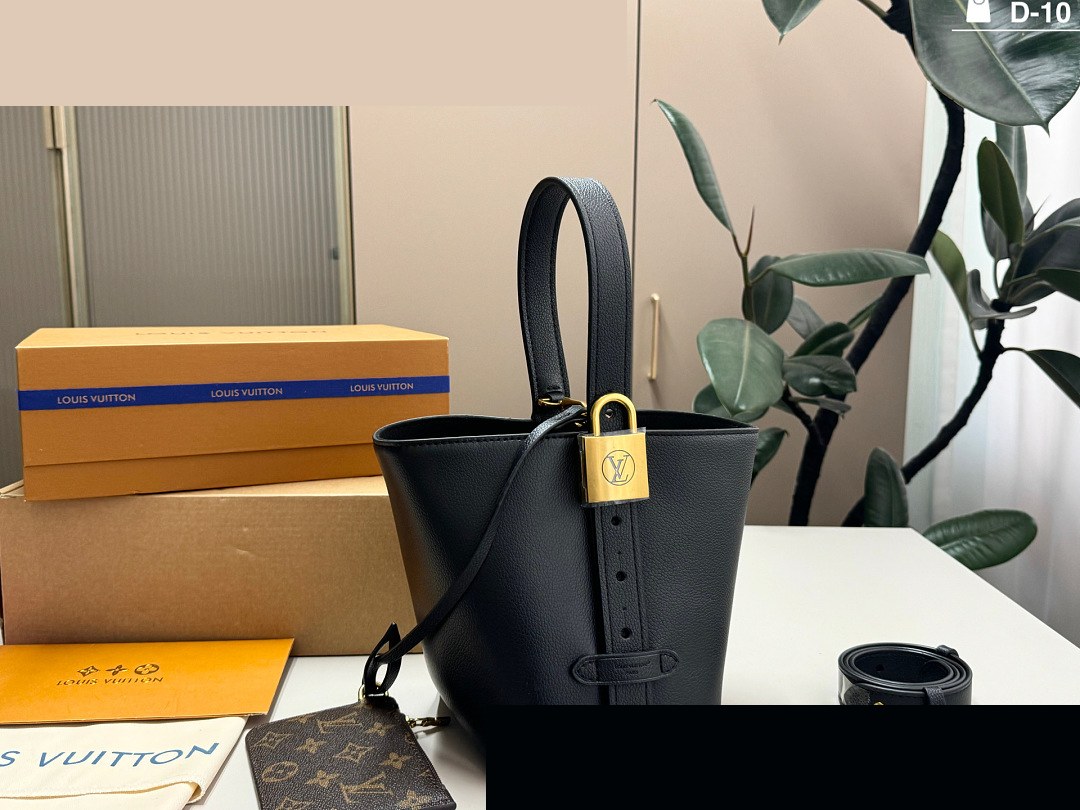 LV Bag 243