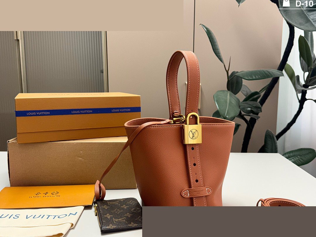 LV Bag 244
