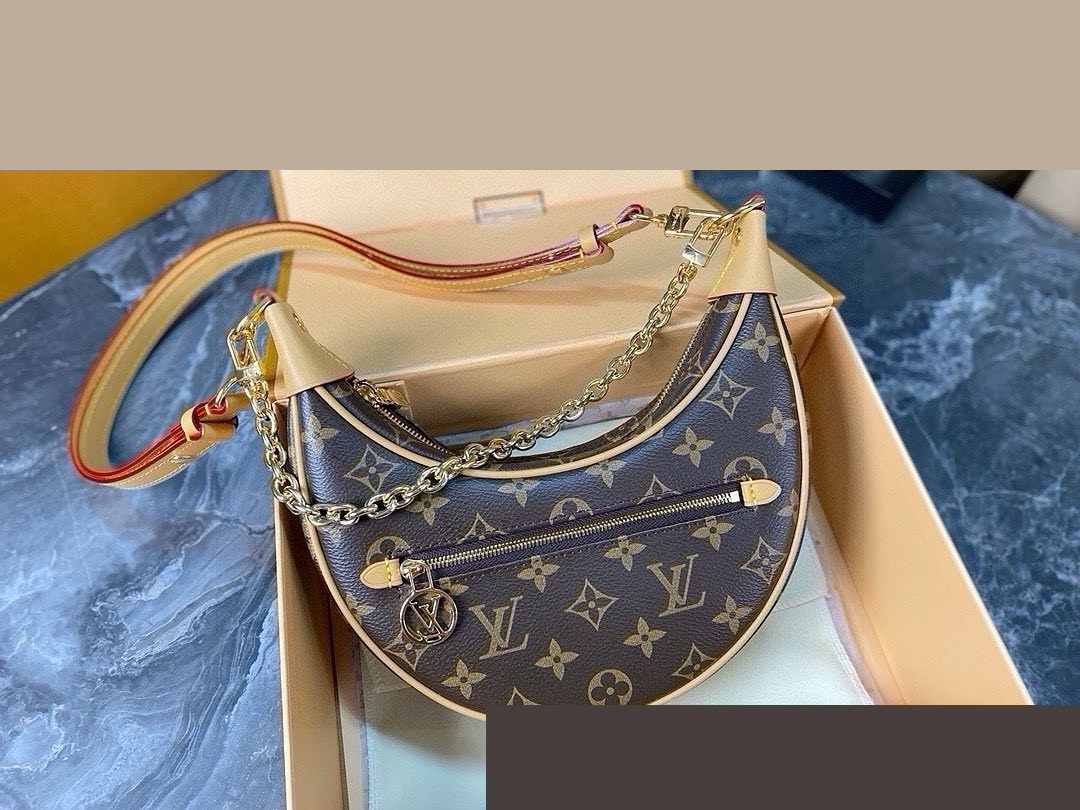 LV Bag 246