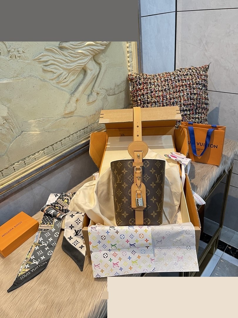 LV Bag 247