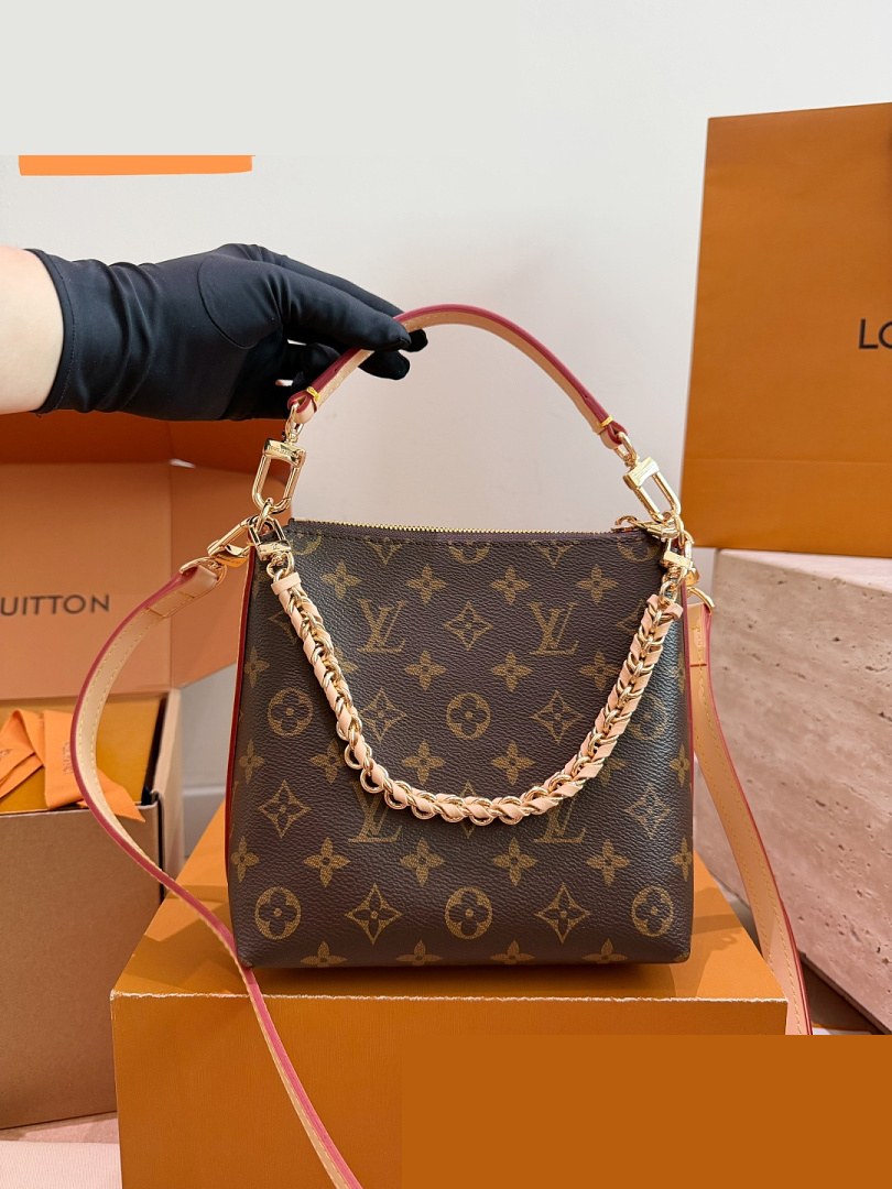 LV Bag 249