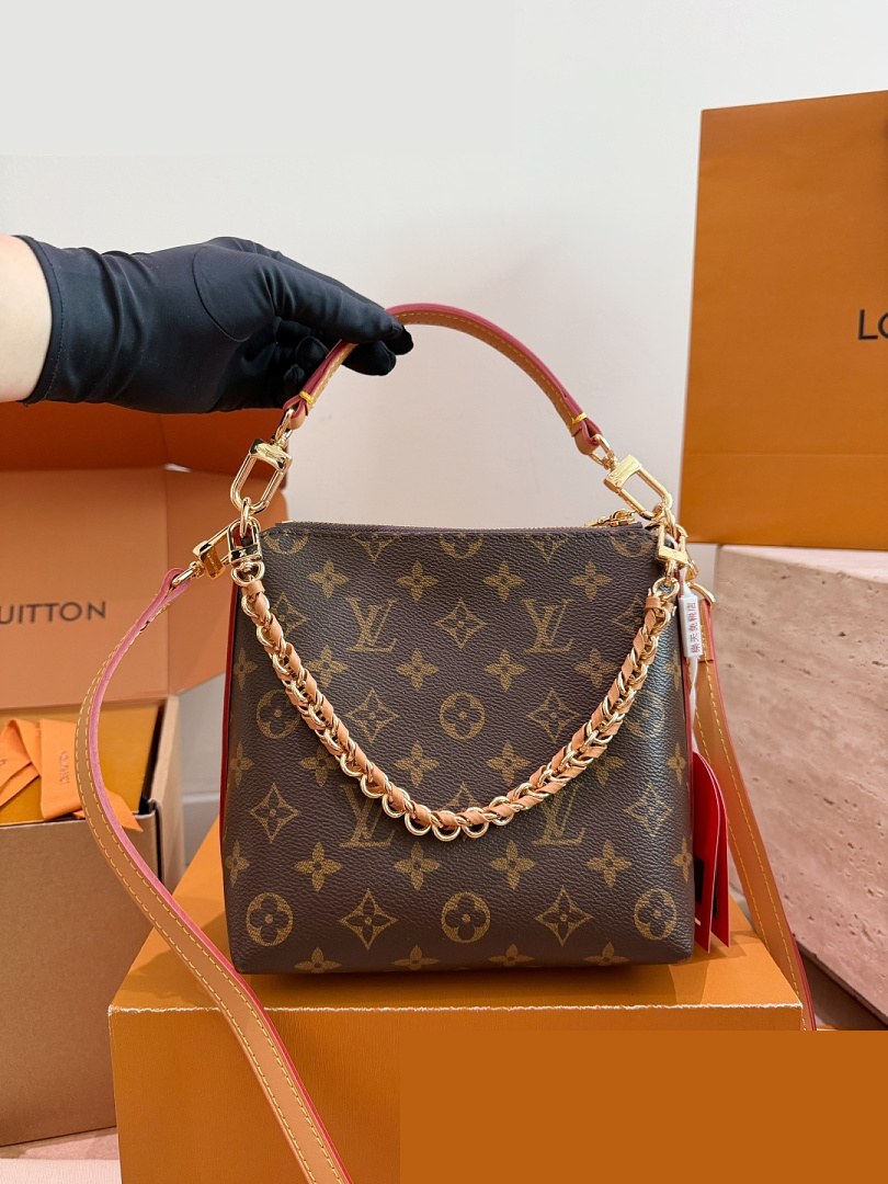 LV Bag 250