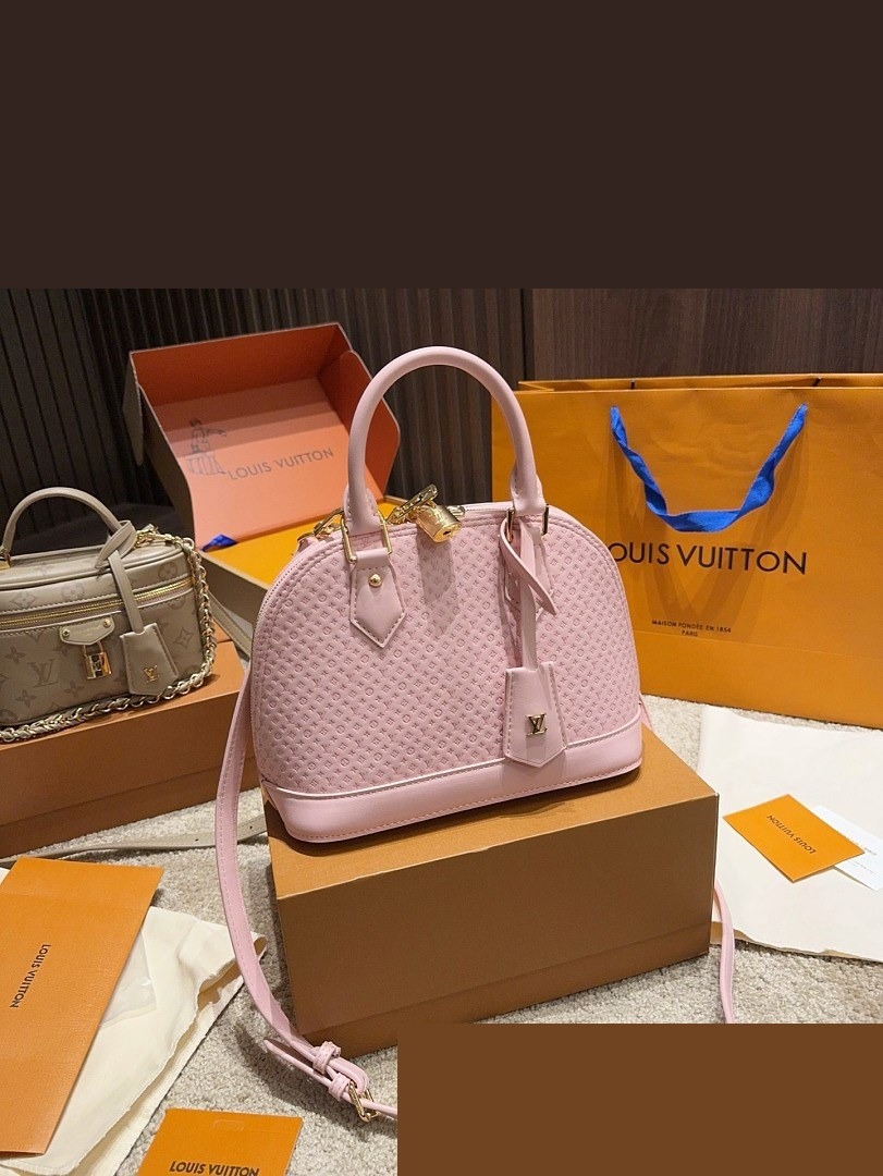 LV Bag 251