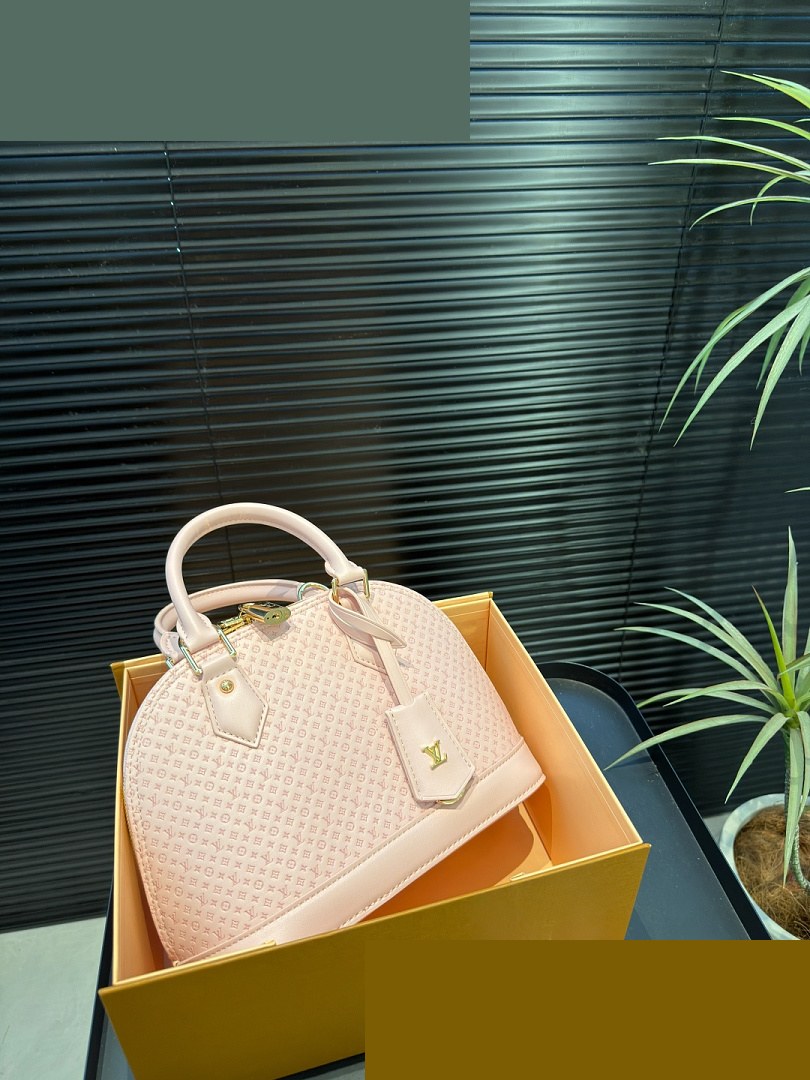 LV Bag 253