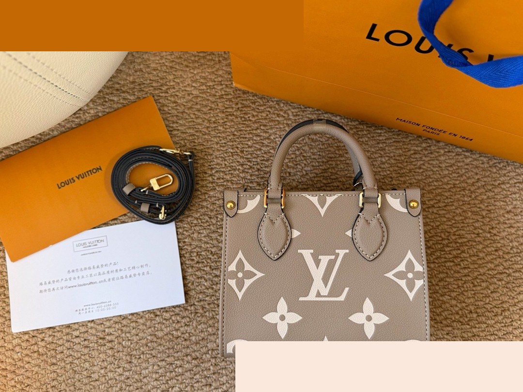 LV Bag 254