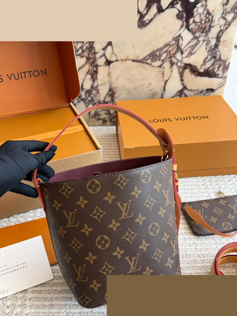 LV Bag 255