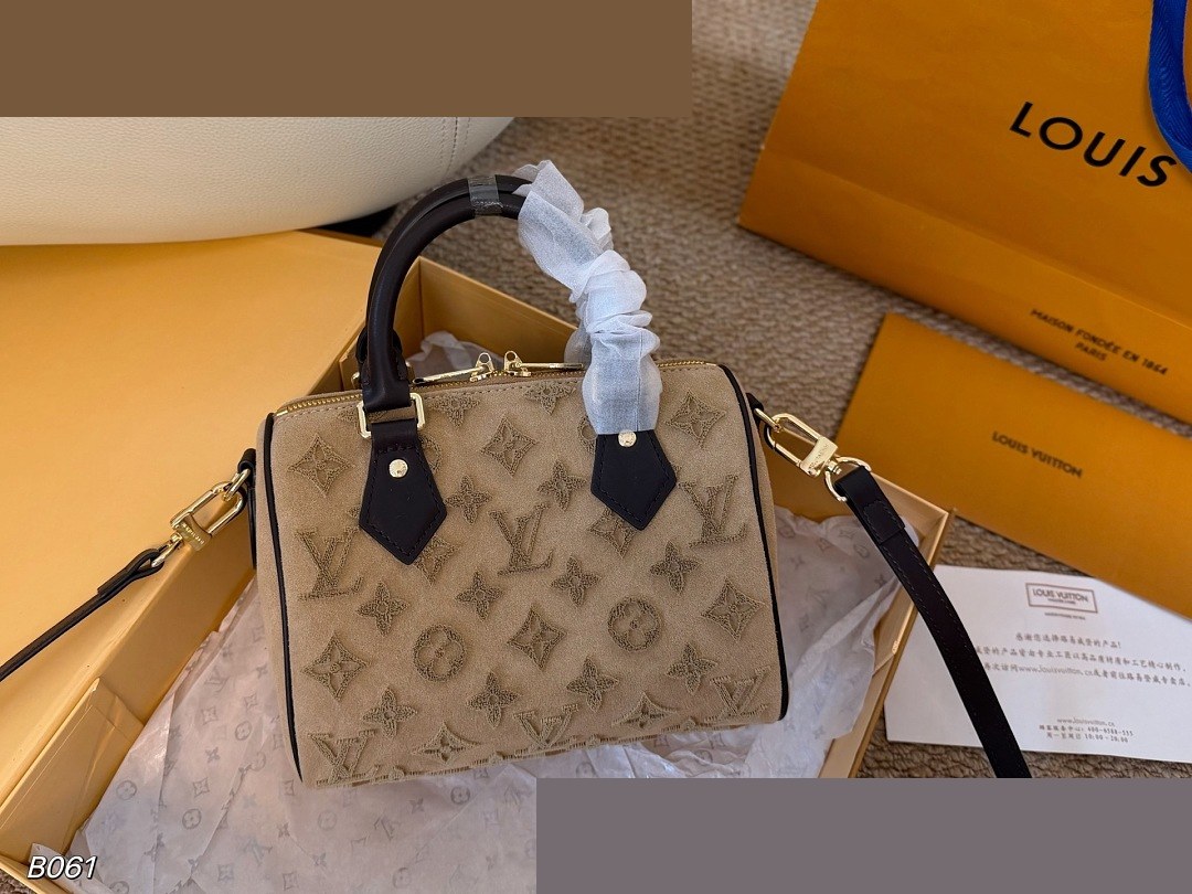 LV Bag 256