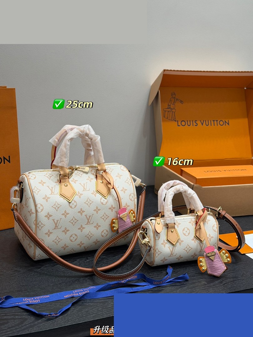 LV Bag 261
