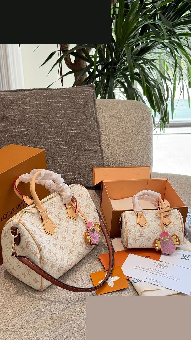 LV Bag 267