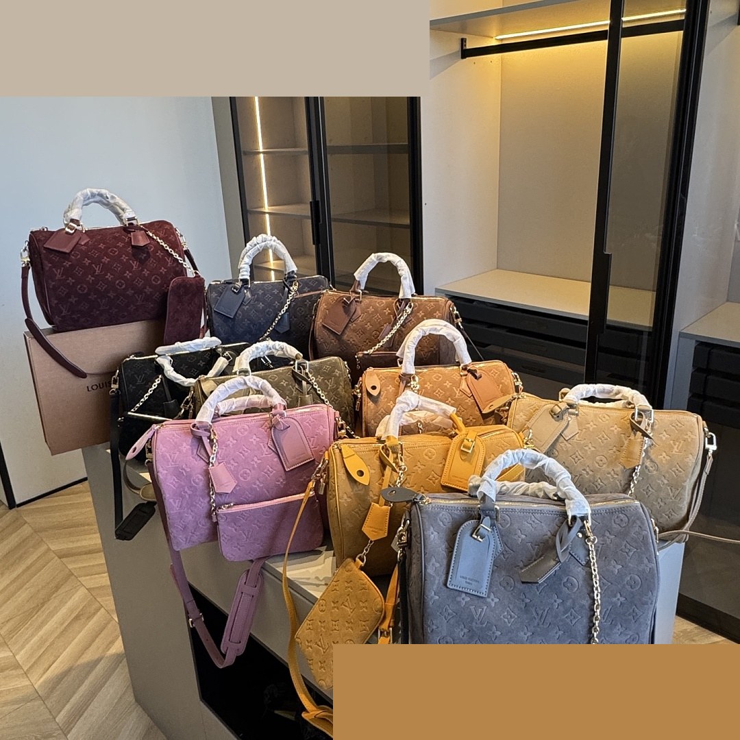 LV Bag 270