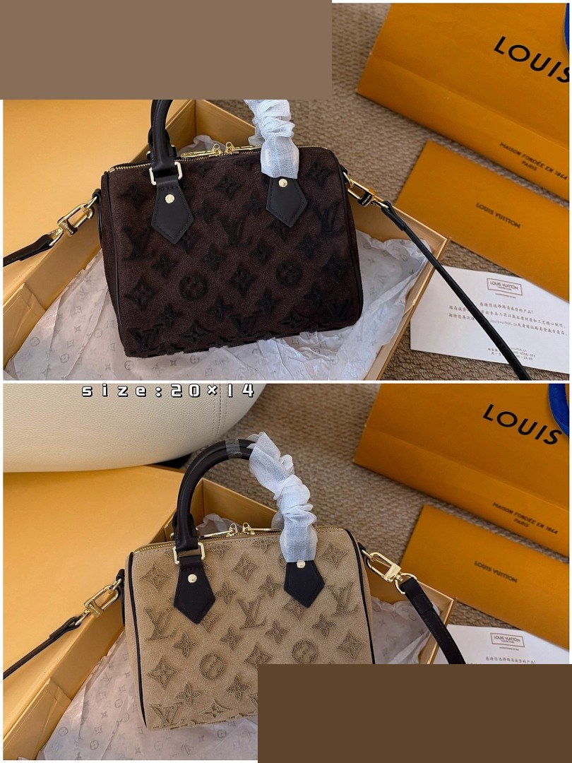 LV Bag 273